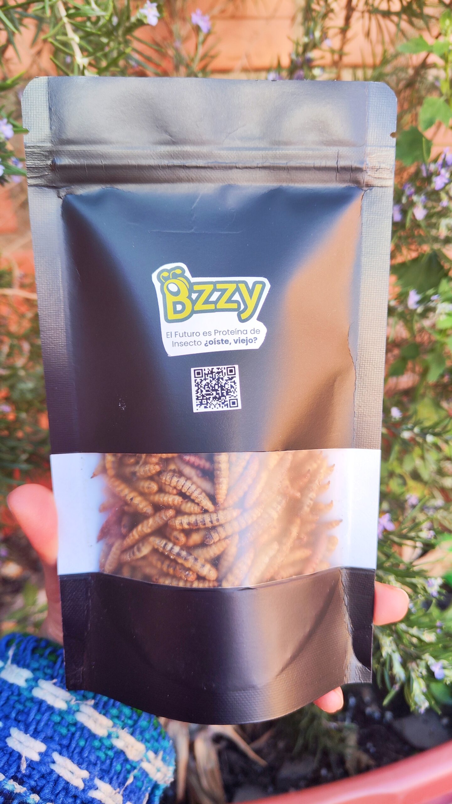 emprendimientos-bolivia